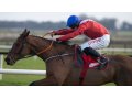 Envoi Allen 0 Fairyhouse (GI)