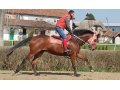 Hussar de Beauvais à l'entraînement en Serbie