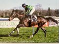 Ilusion de Lagarde (Prix du Tursan) - Pau - janvier 2022