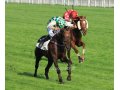 Celèbre d'Allen gagnant Prix Prince d'Ecouen (Listed ) à Auteuil.