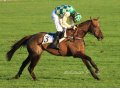 Célèbre d'Allen en roue libre pour ses débuts sur le steeple d'Auteuil.