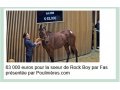 arqana oct 2022